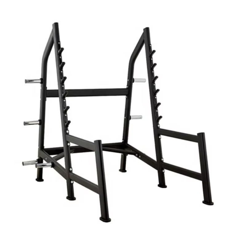 Squat Rack Power Cage, Plate L - Heavy Equipment Training review and price